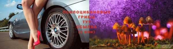 тгк Арсеньев