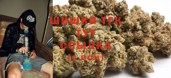 трава Гусиноозёрск
