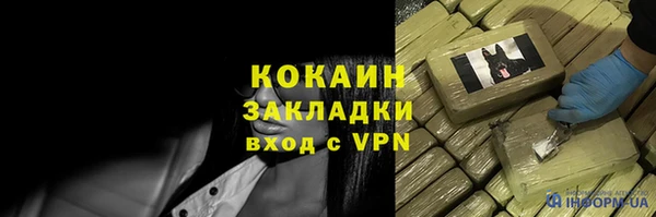 тгк Арсеньев