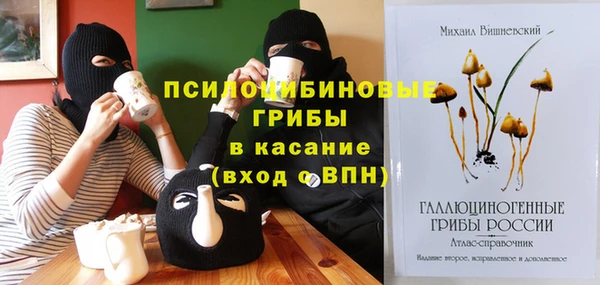 мдпв Армянск