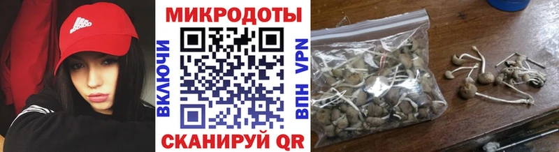 площадка телеграм Асбест Псилоцибиновые грибы прущие грибы купить наркоту ОМГ ОМГ